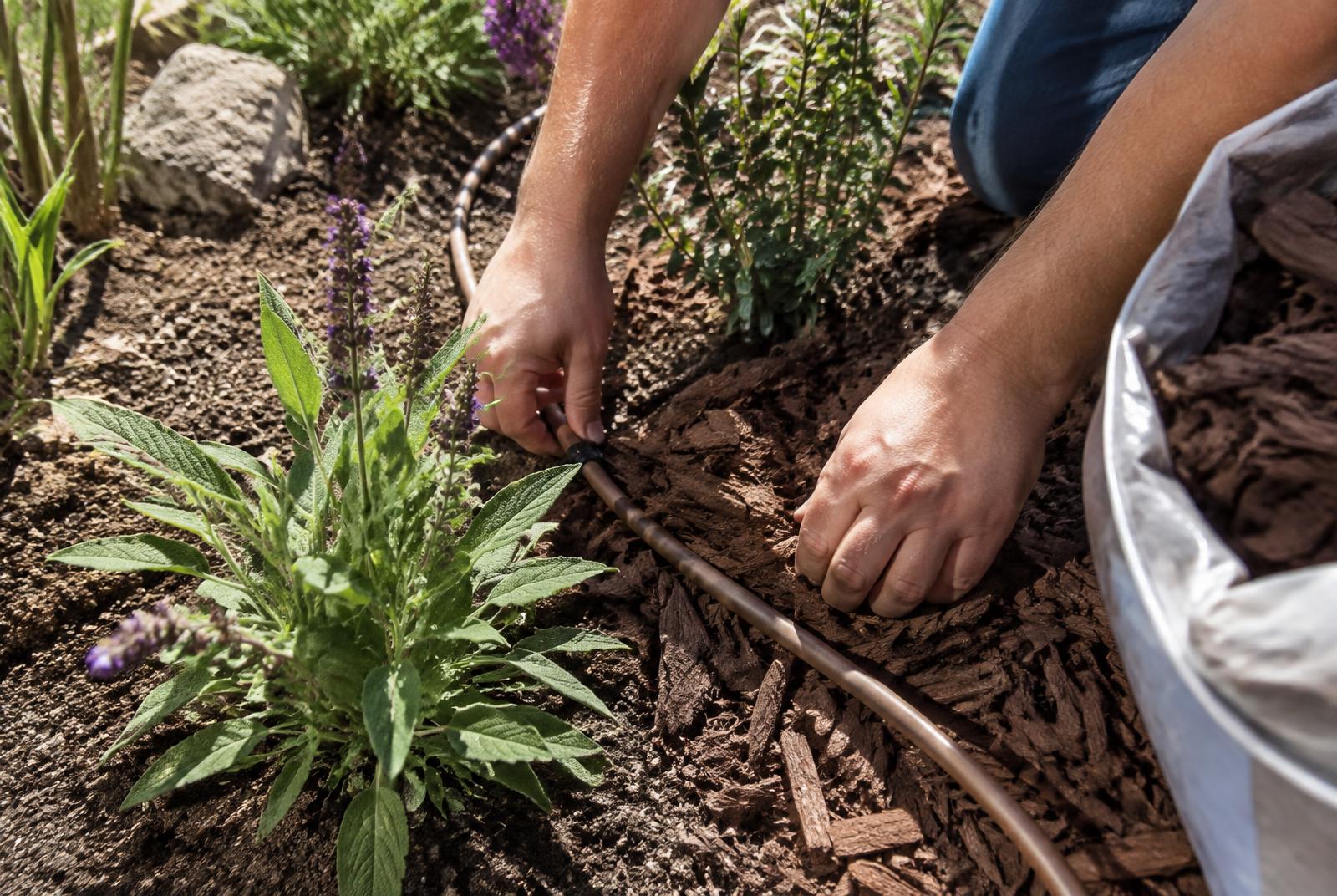 Fall Planting Open House
