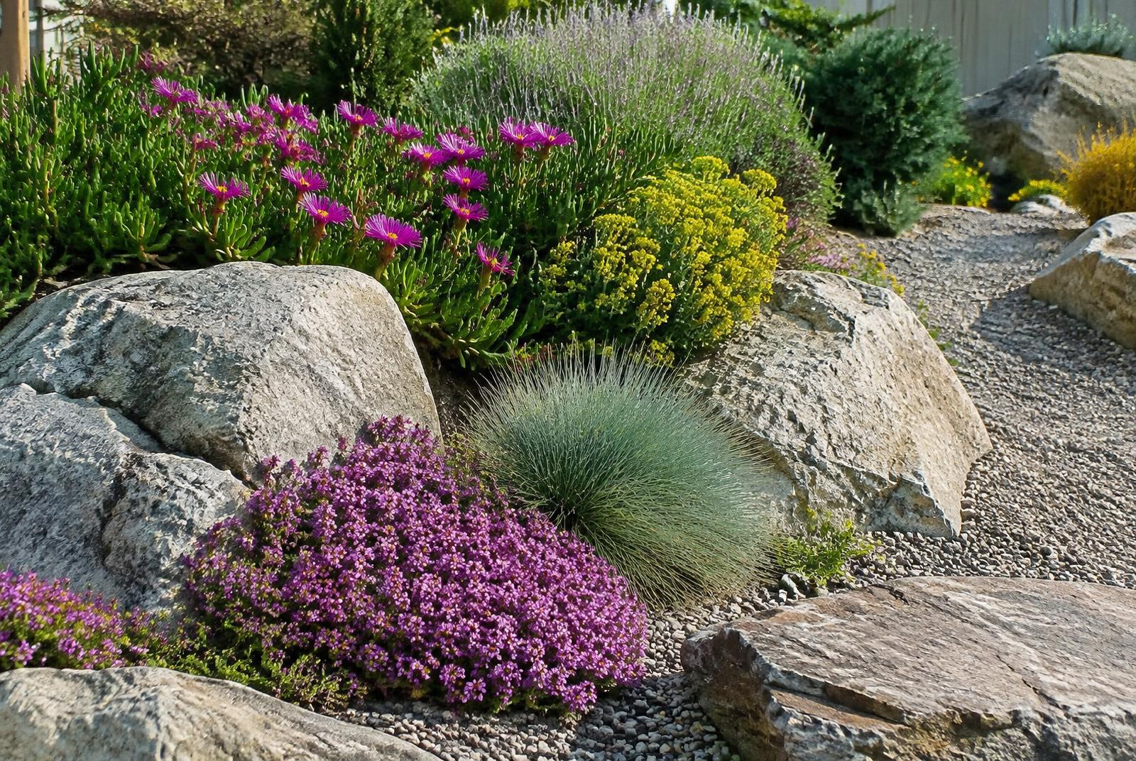 Water-Wise Rock Garden