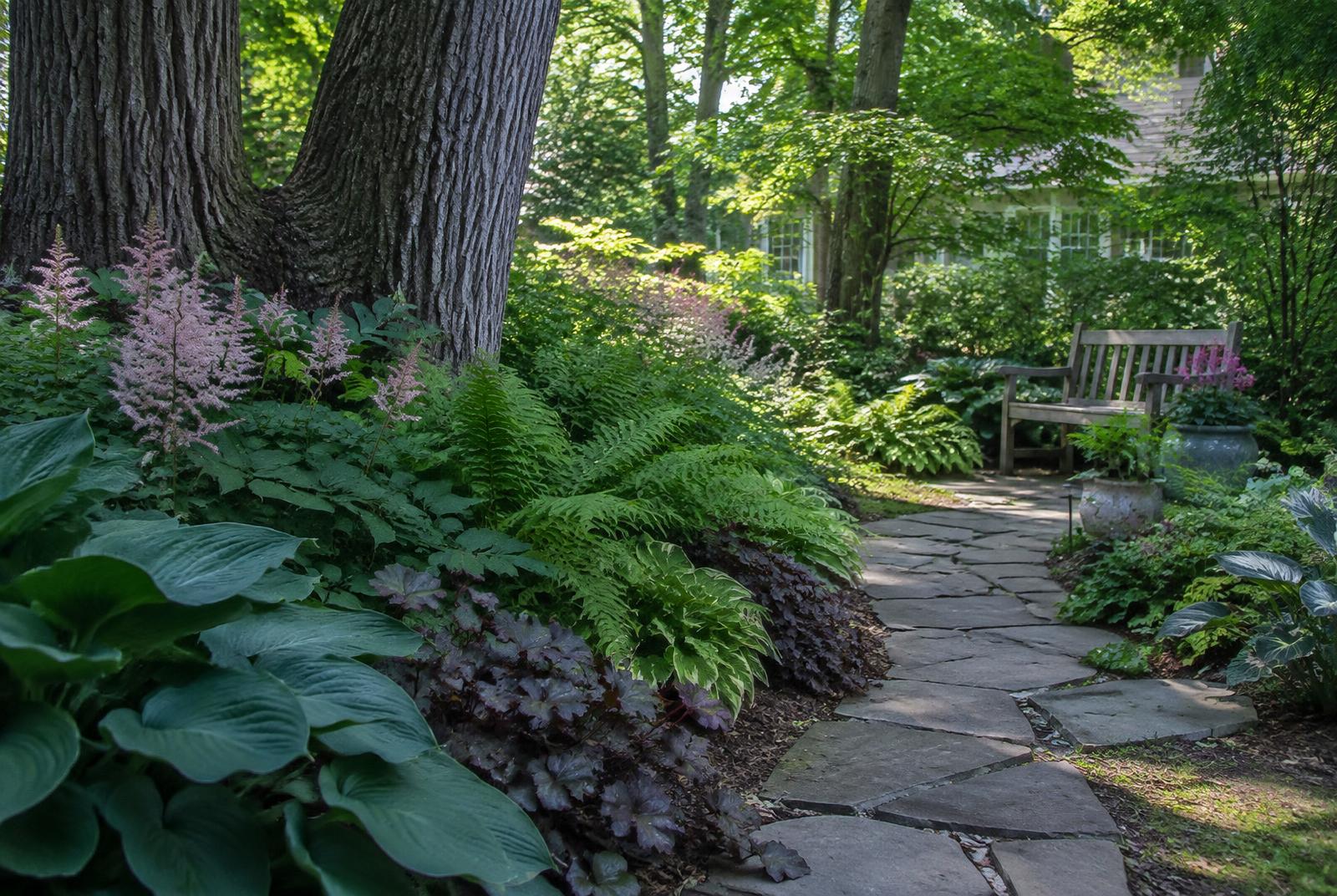 Cool, green and calm where nothing else grows